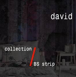 david / BS strip    vol.9