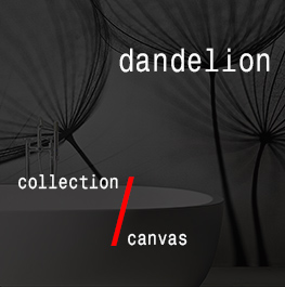 canvas / dandelion