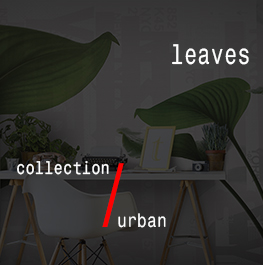 urban / leaves