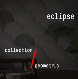 geometric / eclipse