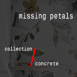 concrete / missing petals