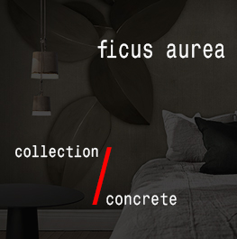concrete / ficus aurea
