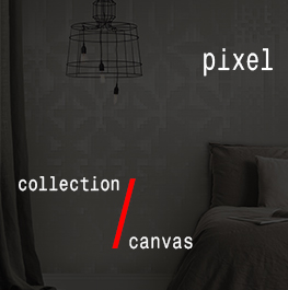 canvas / pixel