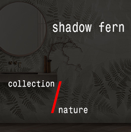 nature / shadow fern