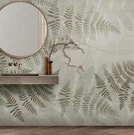 nature / shadow fern