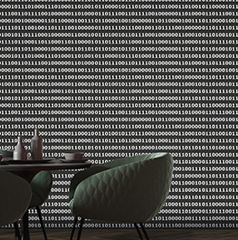 textile / il mattino ha l’oro in bocca