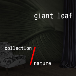 nature / giant leaf