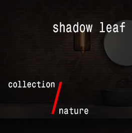 nature / shadow leaf