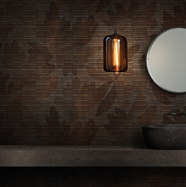 nature / shadow leaf