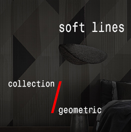 geometric / soft lines