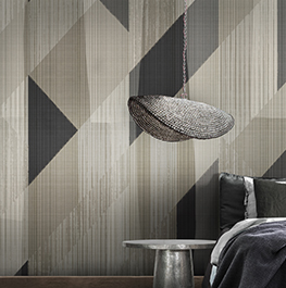 geometric / soft lines